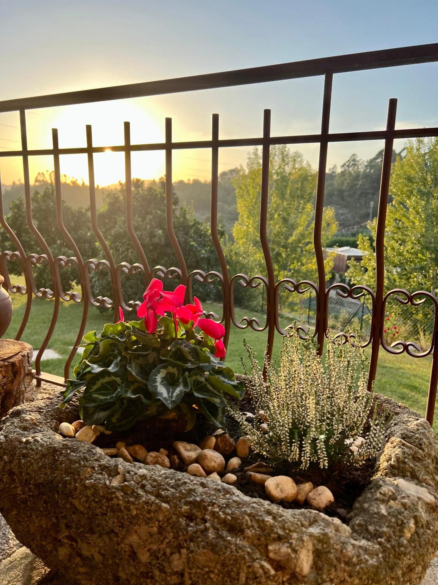 Quinta De Villasete Alpendurada Luaran gambar