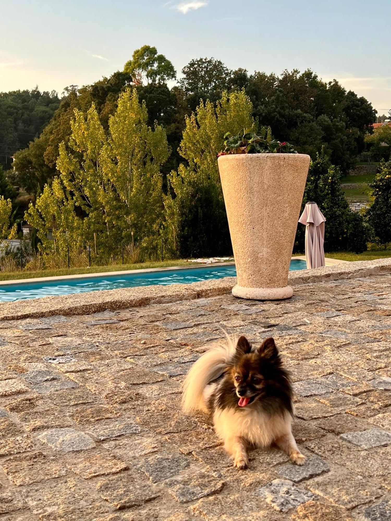 Quinta De Villasete Alpendurada Luaran gambar