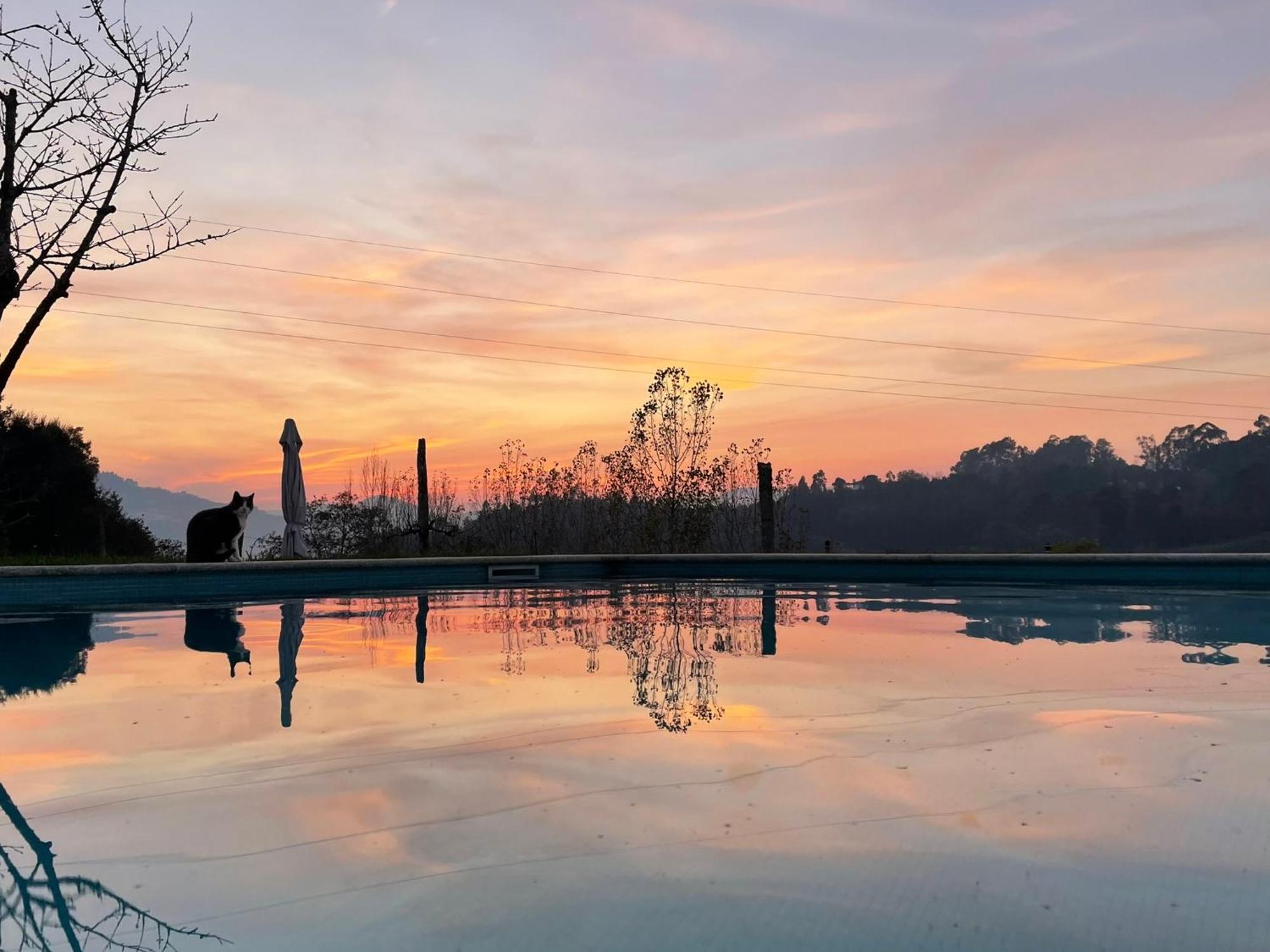 Quinta De Villasete Alpendurada Luaran gambar
