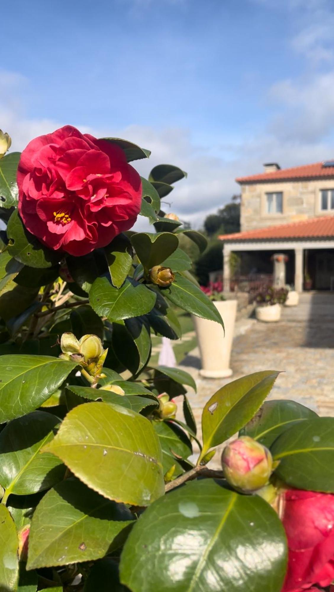 Quinta De Villasete Alpendurada Luaran gambar
