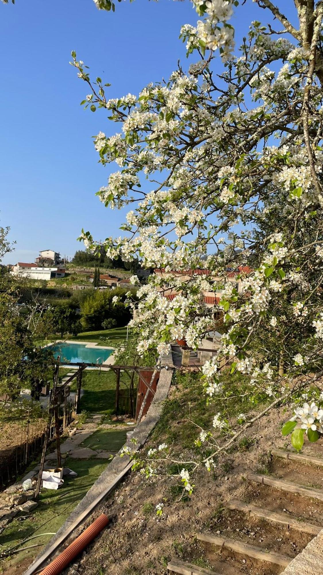 Quinta De Villasete Alpendurada Luaran gambar