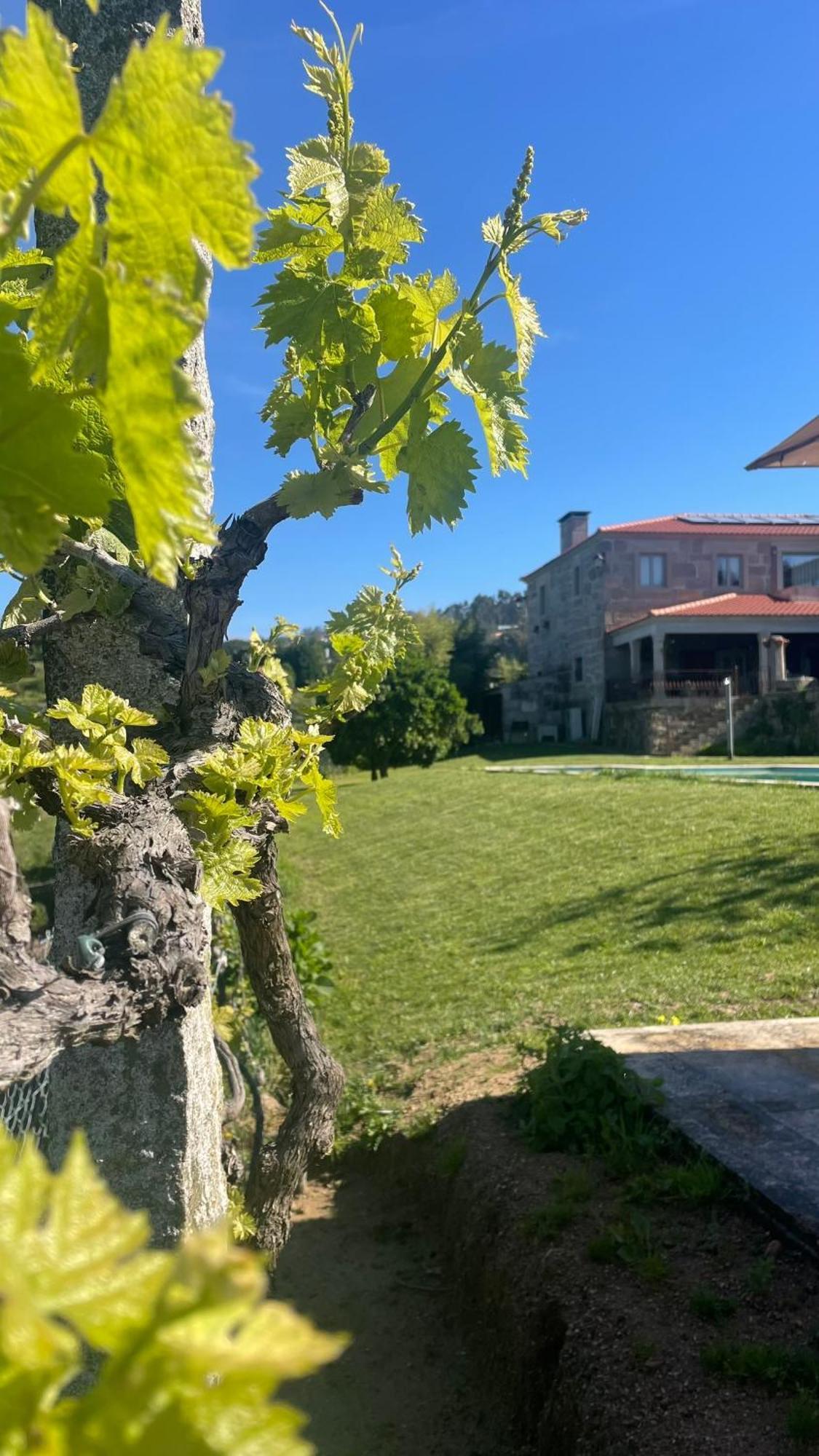Quinta De Villasete Alpendurada Luaran gambar