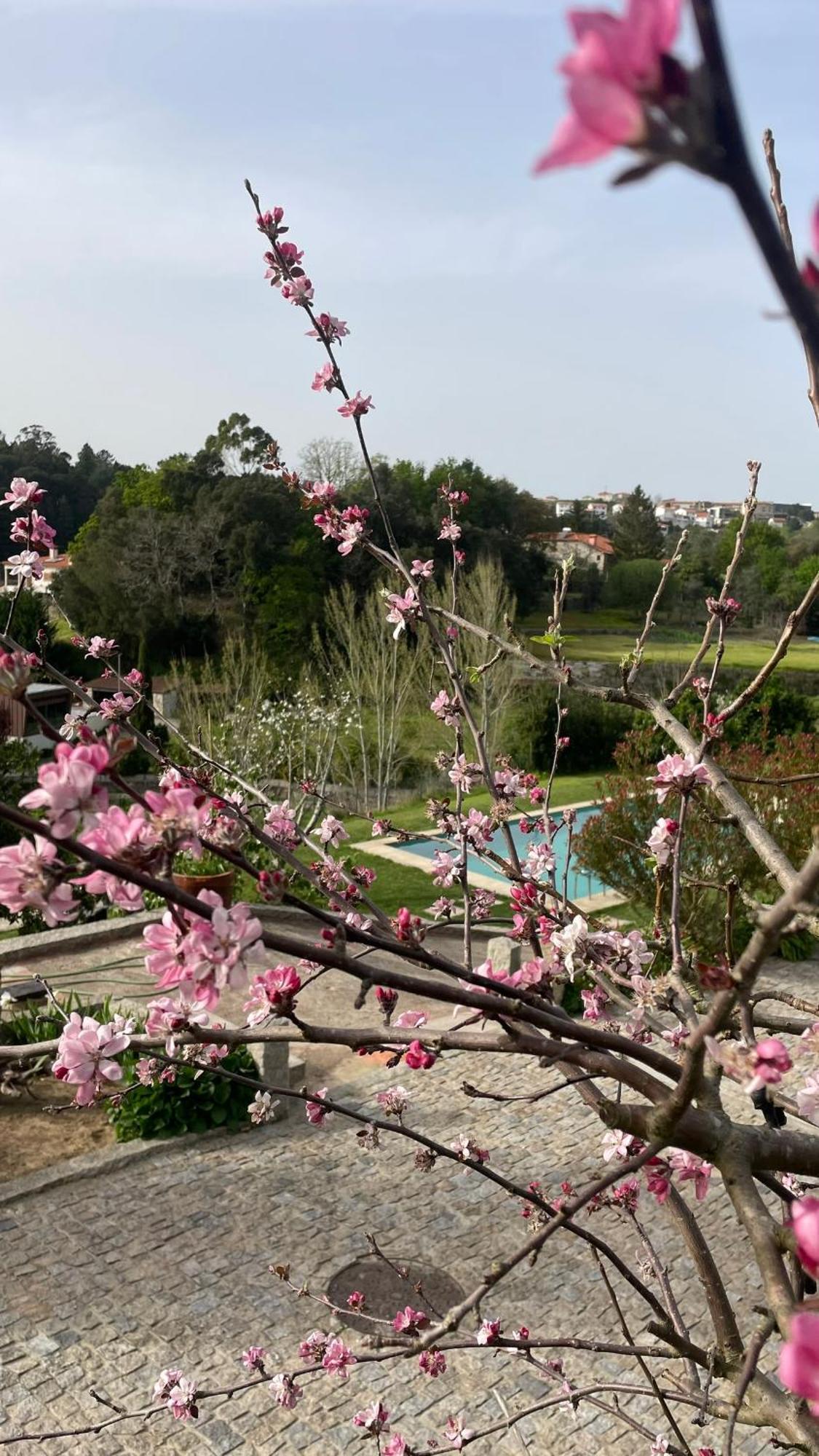Quinta De Villasete Alpendurada Luaran gambar