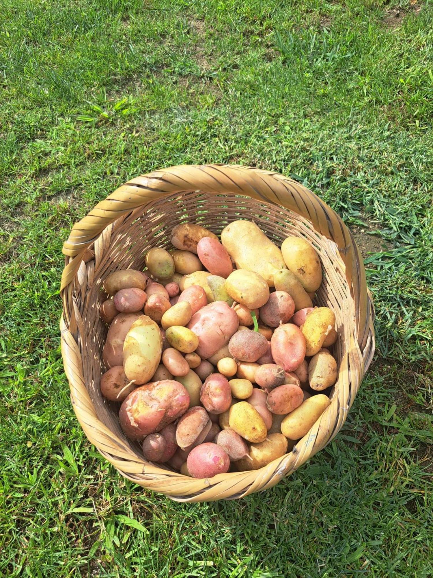 Quinta De Villasete Alpendurada Luaran gambar