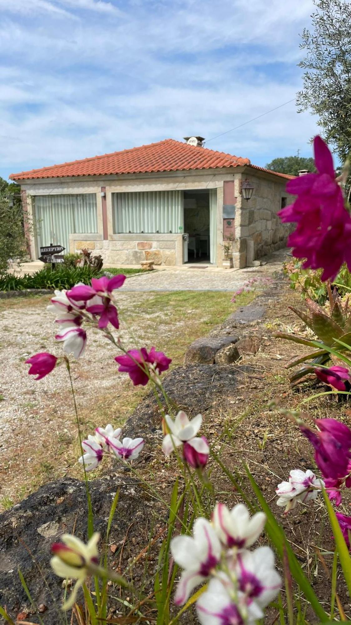 Quinta De Villasete Alpendurada Luaran gambar