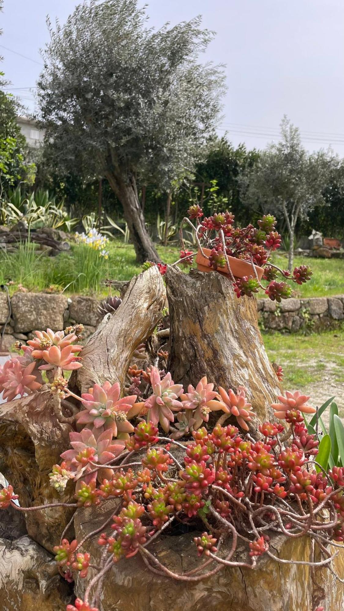 Quinta De Villasete Alpendurada Luaran gambar