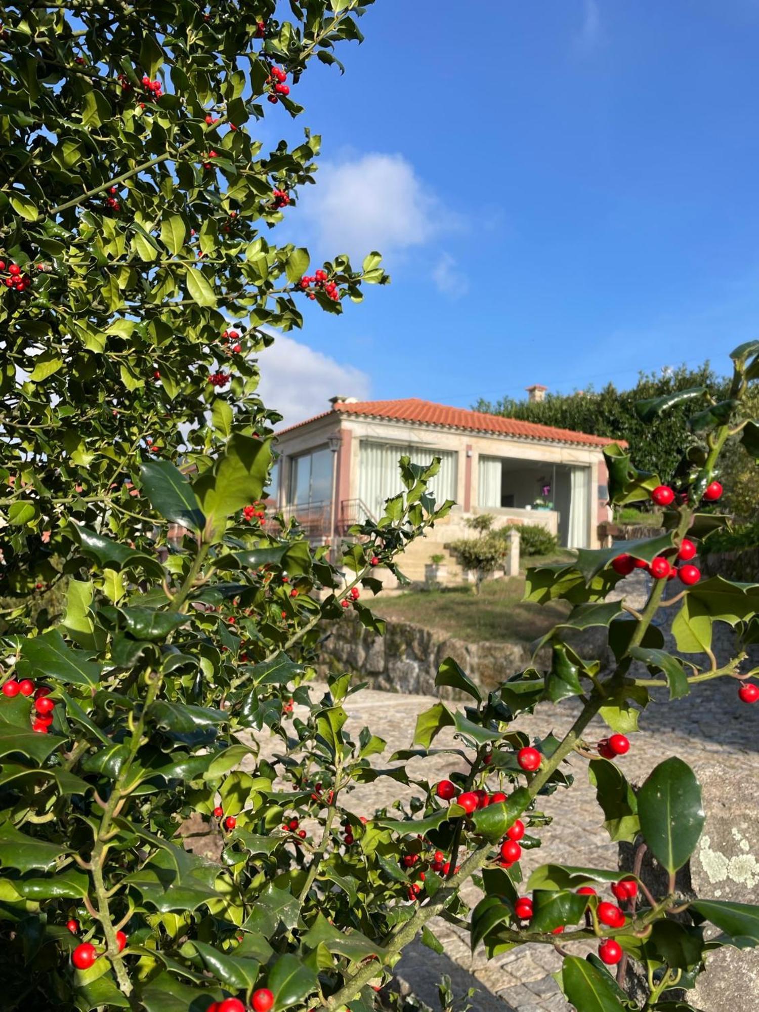 Quinta De Villasete Alpendurada Luaran gambar