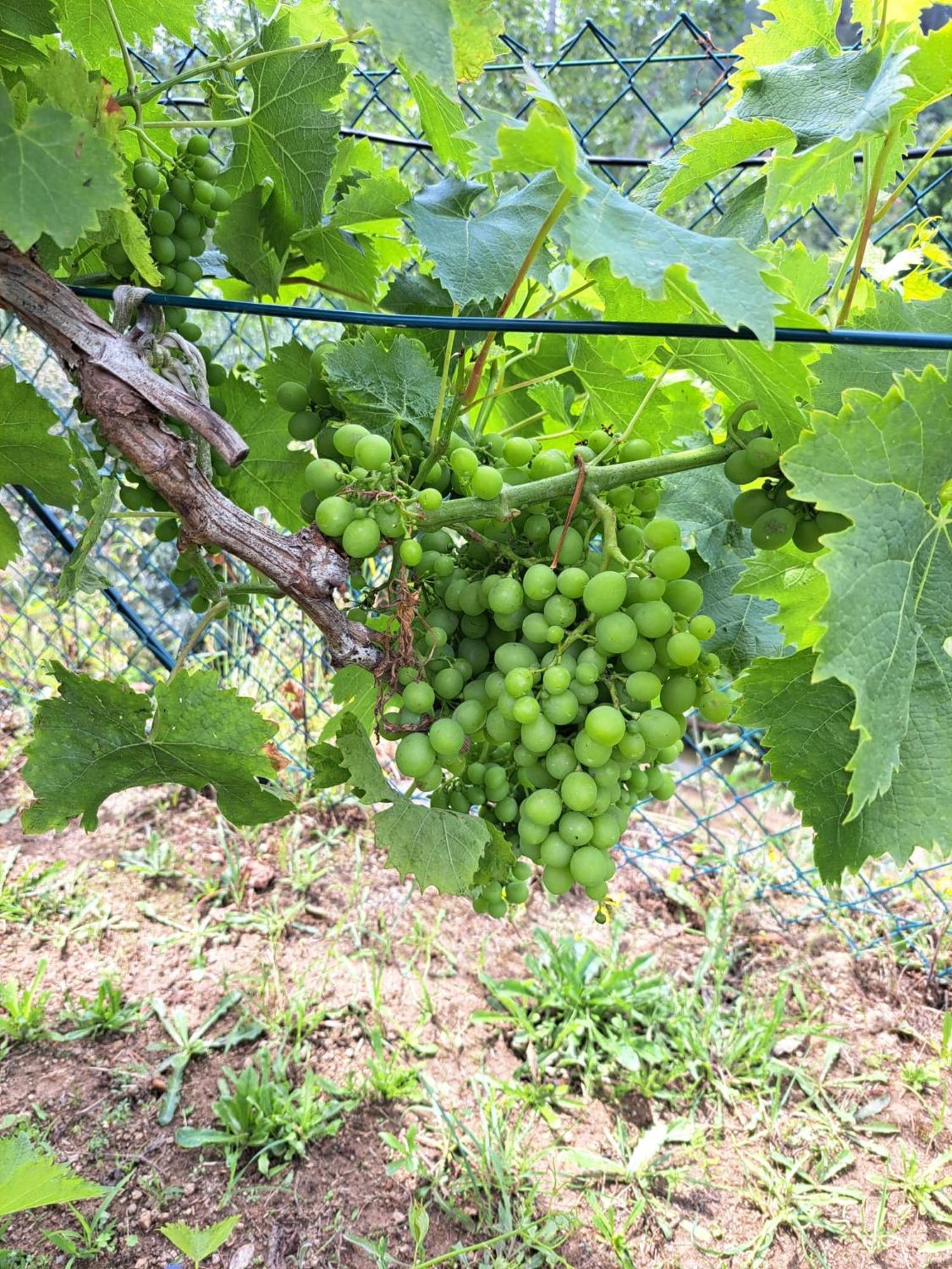 Quinta De Villasete Alpendurada Luaran gambar