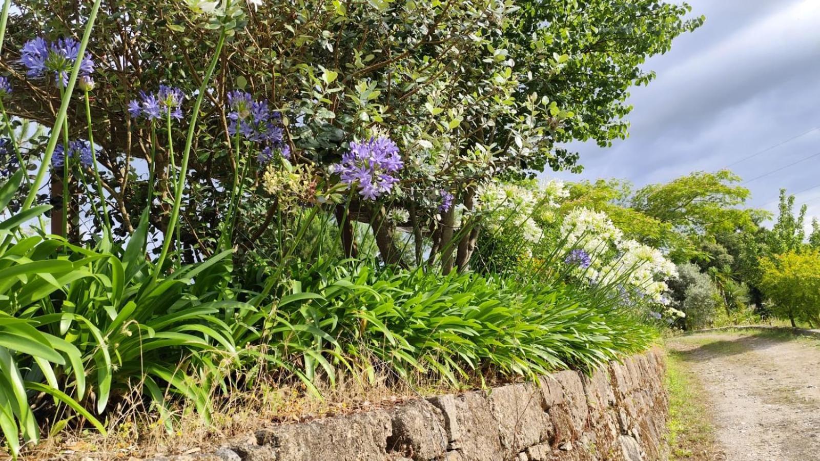 Quinta De Villasete Alpendurada Luaran gambar